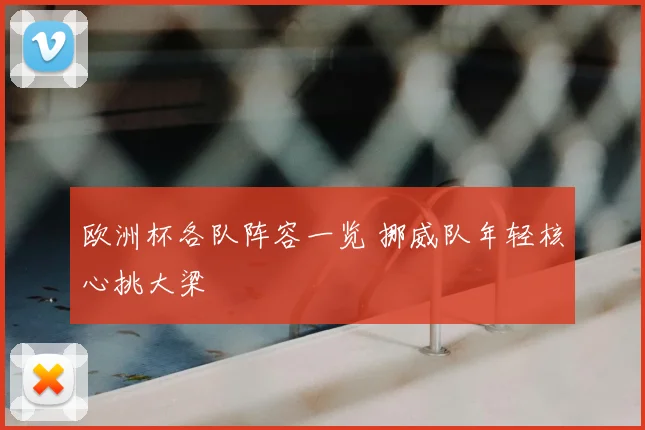 欧洲杯各队阵容一览 挪威队年轻核心挑大梁