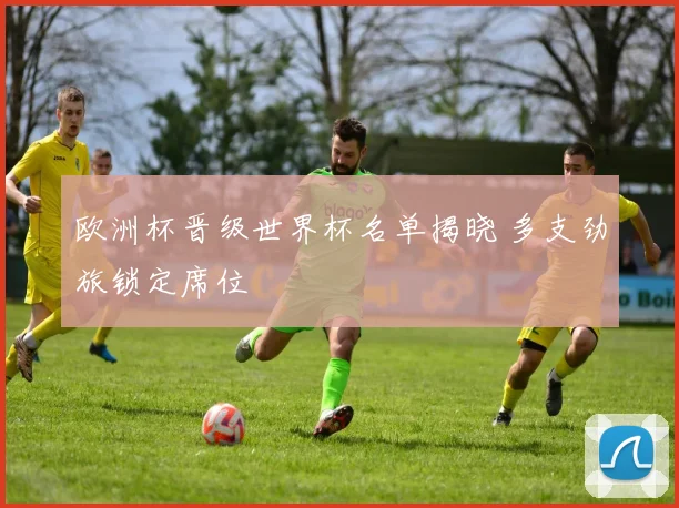 欧洲杯晋级世界杯名单揭晓 多支劲旅锁定席位
