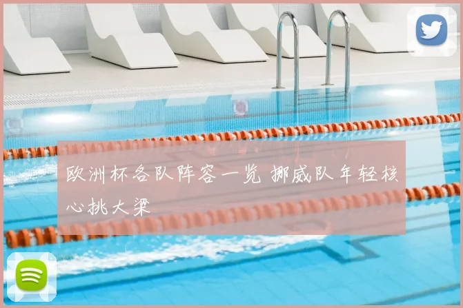 欧洲杯各队阵容一览 挪威队年轻核心挑大梁